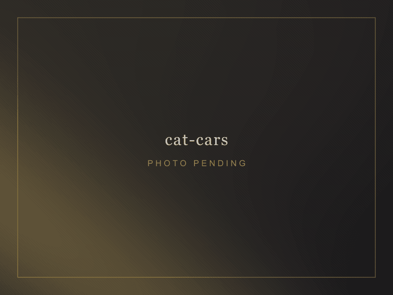 Passenger & luxury cars